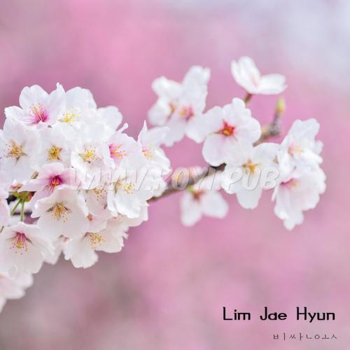 林在贤 – 비싼옷[320K/MP3]