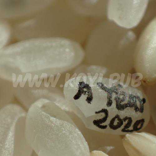 Amado LeeJaram Band – A Year 2020[320K/MP3]