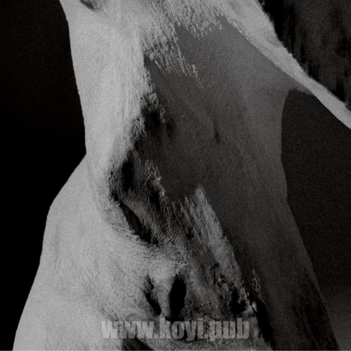 白艺潾 – New Year[FLAC/MP3]