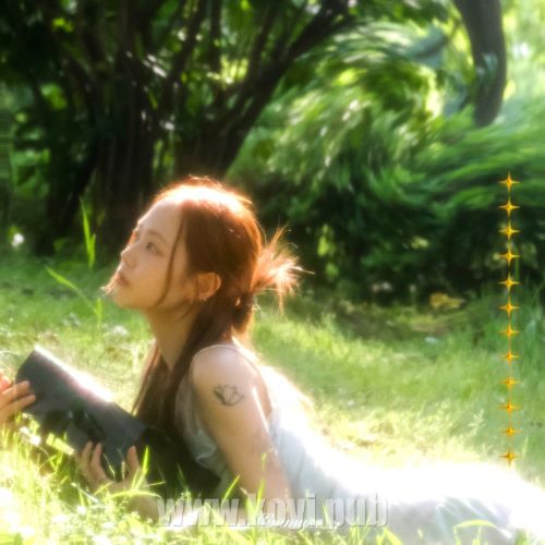 Kimmuse - 택배 (Strange Box)