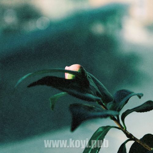 KURO – you are my sunshine[320K/MP3]