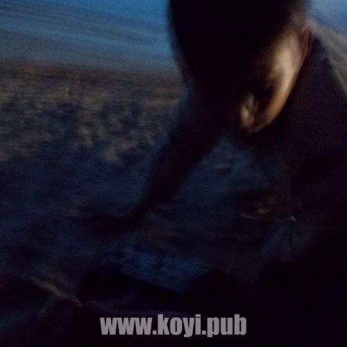 Grizzly – Pretty Lady[320K/MP3]