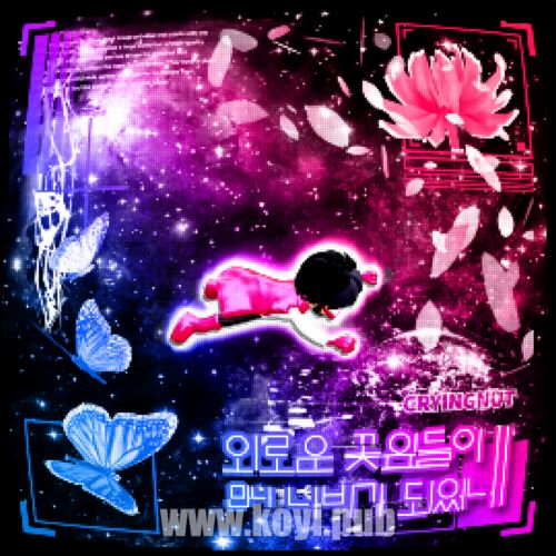 CRYING NUT – 외로운 꽃잎들이 만나 나비가 되었네 (Lonesome Petals Came Together To Become A Butterfly) (孤独的花瓣相遇 变成了蝴蝶)[320K/MP3]