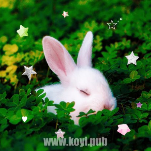 Han All, Saevom - 모를래 (I don't care)