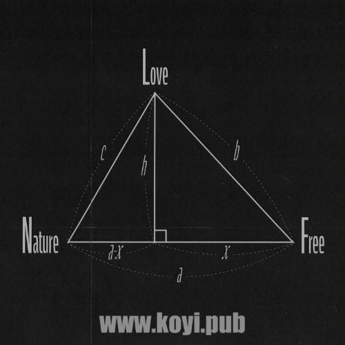 Wonstein – TENT 0.7[FLAC/MP3]