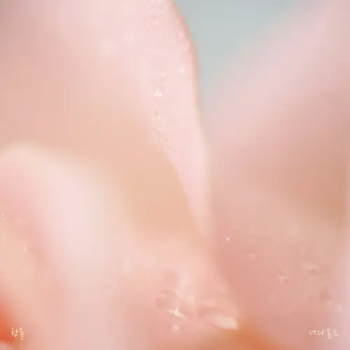 Han All – 너의 봄도 (your spring, too)[320K/MP3]