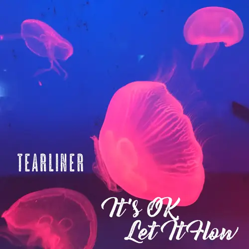 tearliner – It’s OK, Let It Flow[320K/MP3]