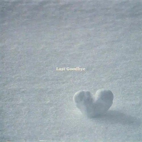 Felicity (펠리시티) – Last Goodbye[320K/MP3]