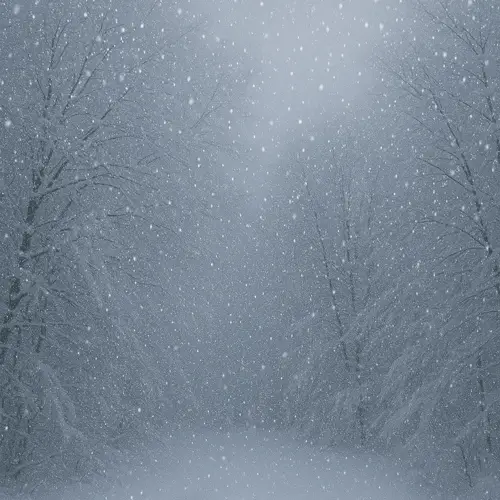 a:pomt (어폼트), 장준용, 윤수연 - 너, 그리고 눈