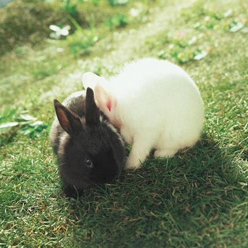 ZICO(Block B) - She's a Baby[320K/MP3]