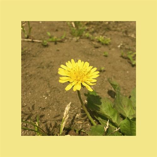 Oohyo – 민들레(Dandelion)蒲公英[320K/MP3]